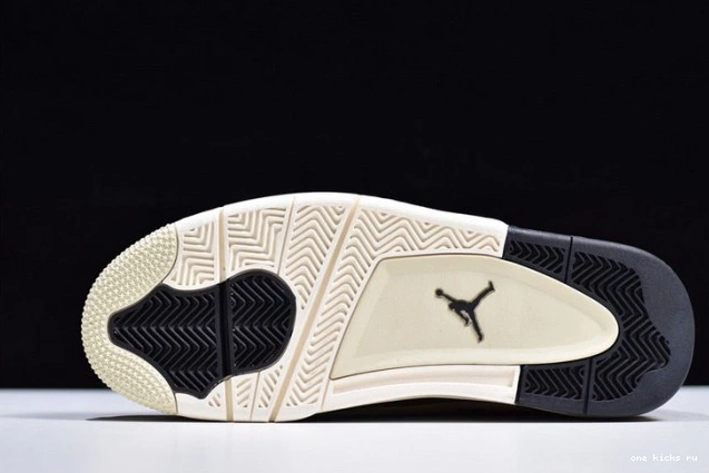 Chep Onekick 4 Jordan Mushroom Air AQ9129-200 0701